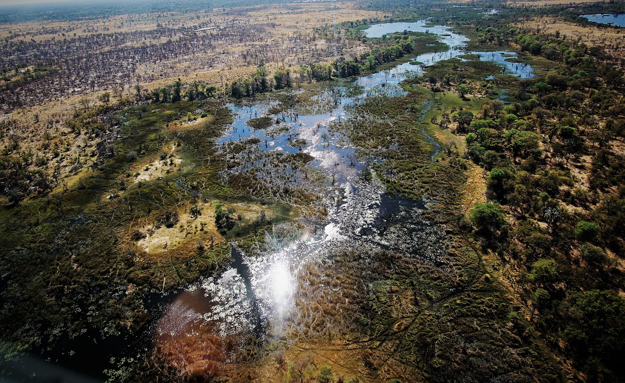 botswana home seite