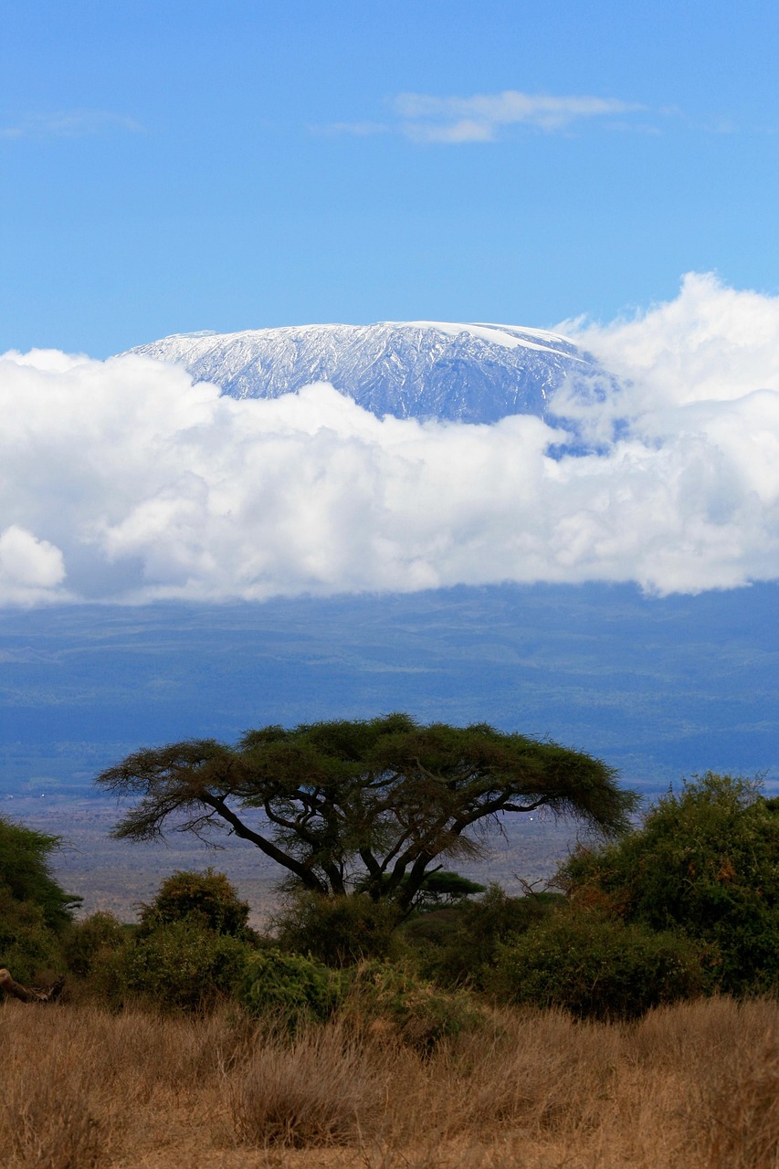 kili