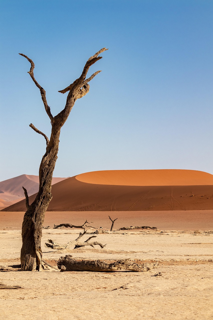 namibia homeseite