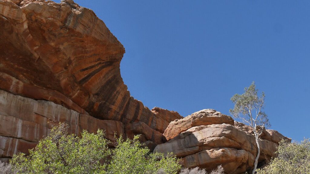 cederberge suedafrika.1180x0 (1)