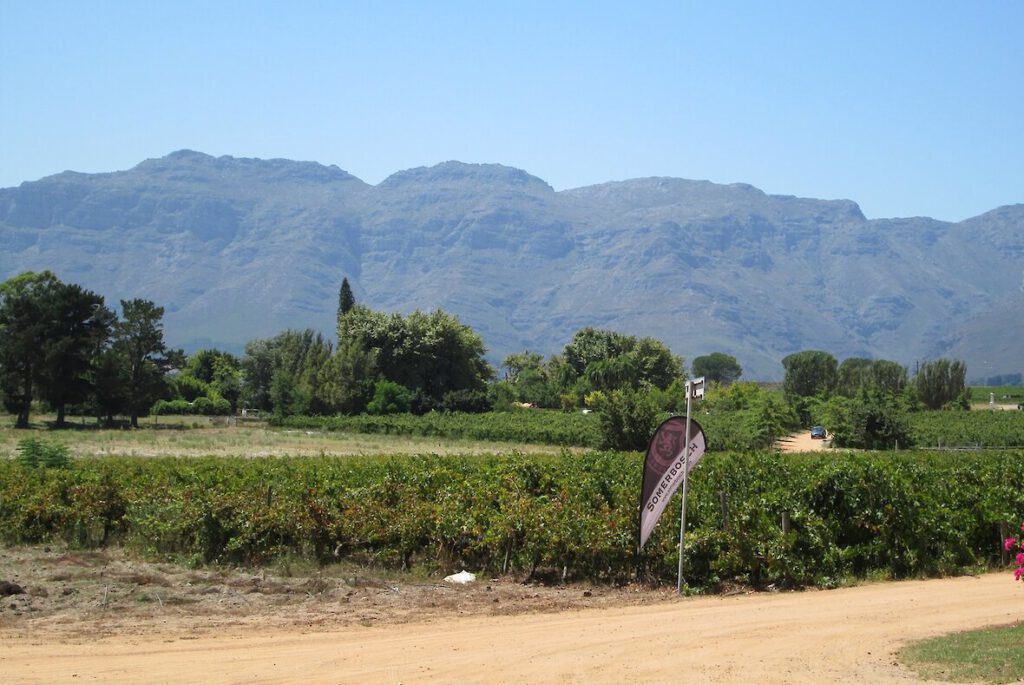 weingut boschendal.1180x0