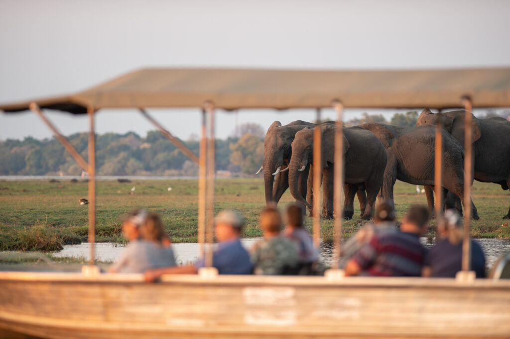 sunway botswana chobe cruise bruce taylor 5073