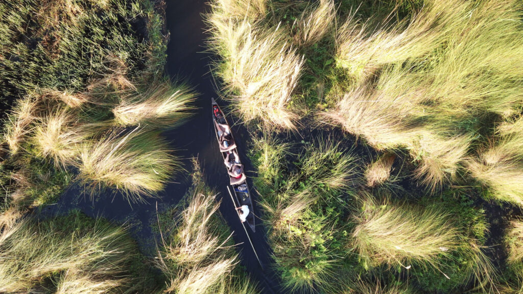 Kleingruppenreise "Wildes Botswana" 14-täg. Safari ab 3490,- € p.P. dcim100mediadji 0193.jpg