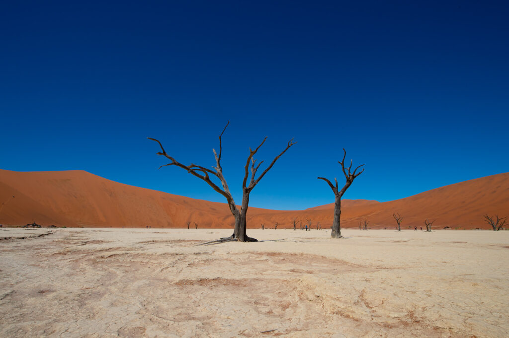 sunway namibia sossusvlei bruce taylor 4740