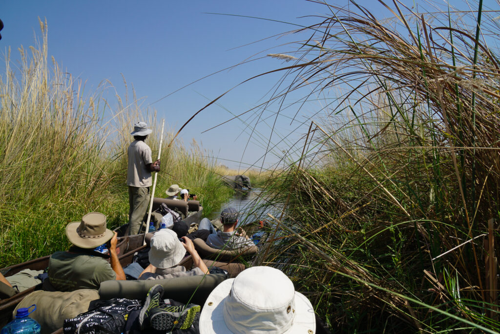 sunway botswana okavango jez hollinshead 00660