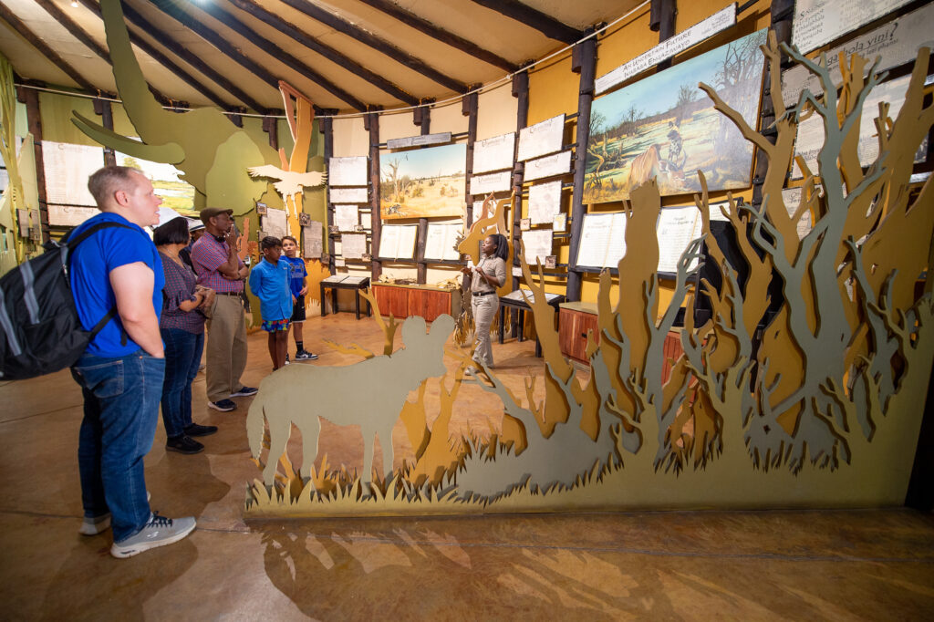 sunway zimbabwe hwange wild dog center bruce taylor 4729