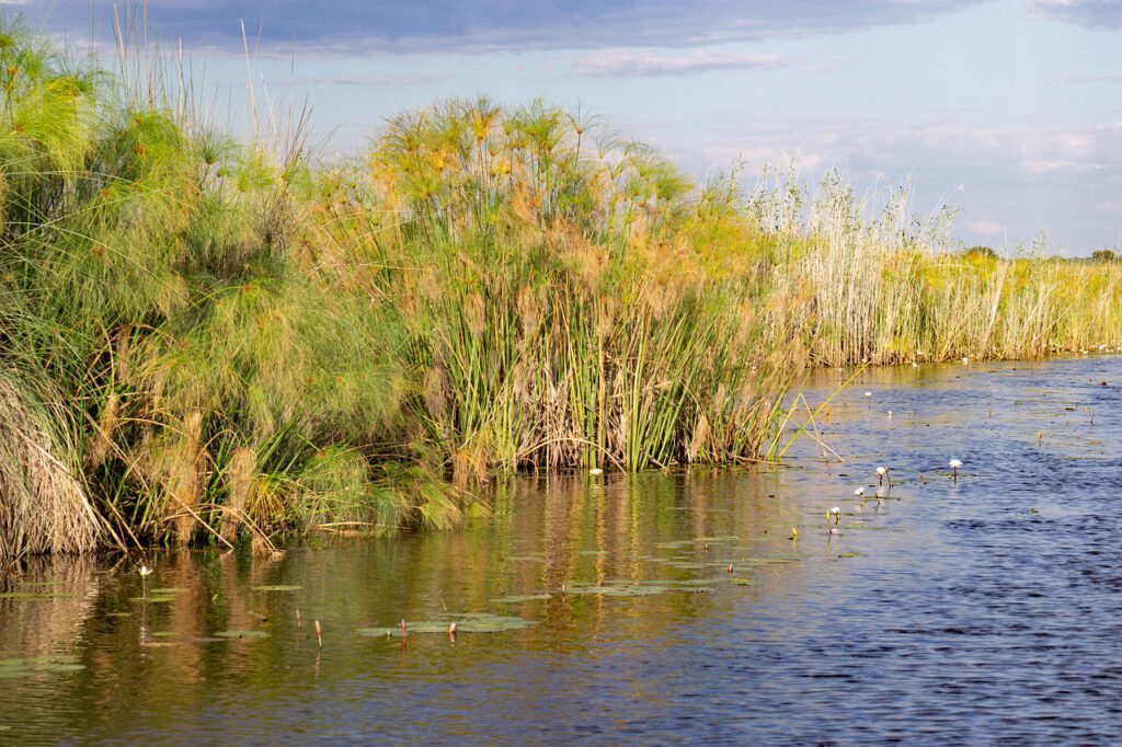 Kleingruppenreise Namibias Kontraste botswana 4931627 1280