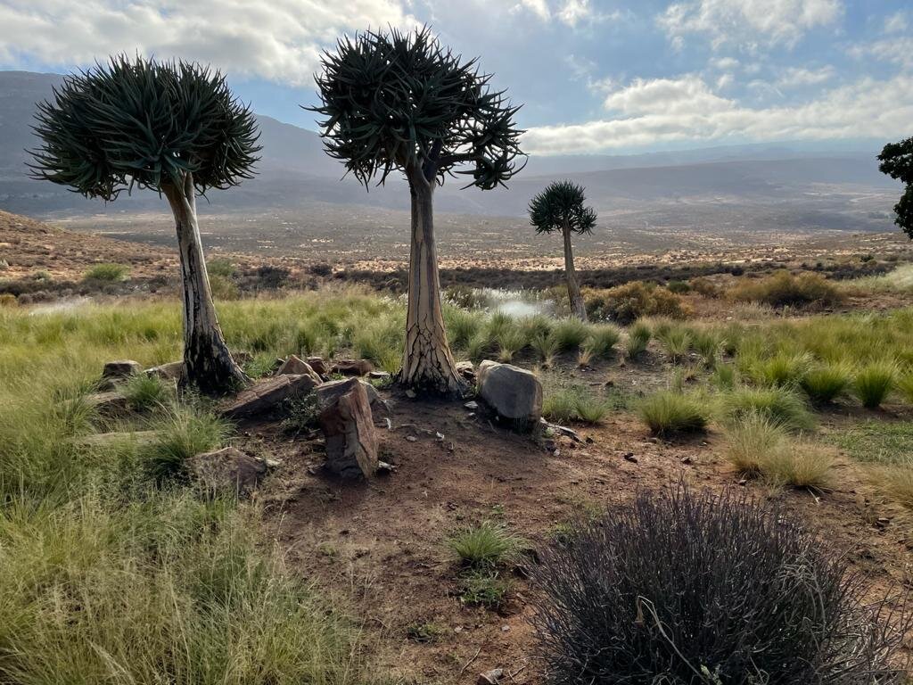 cederberge mirjam.1180x0