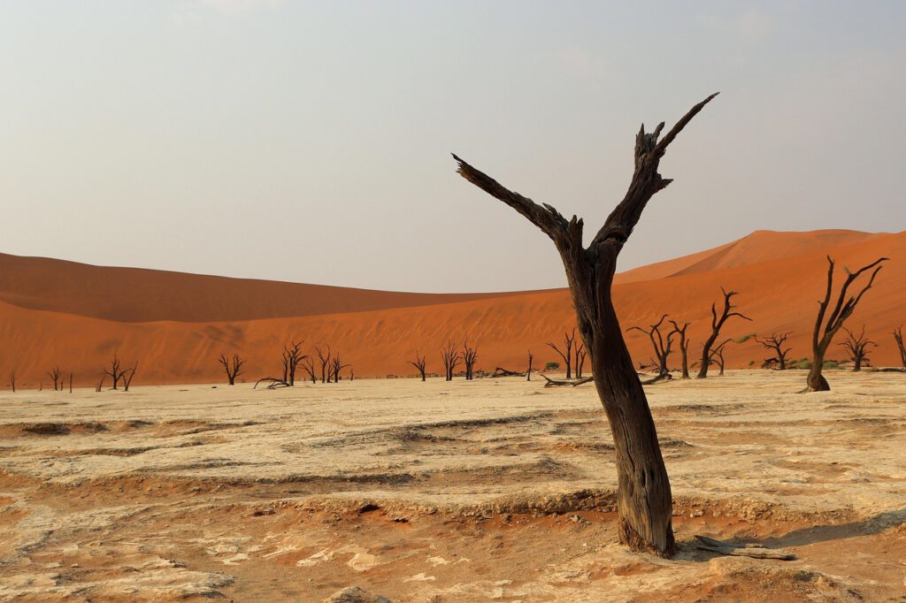Kleingruppenreise Namibias Kontraste deadvlei 7571961 1280