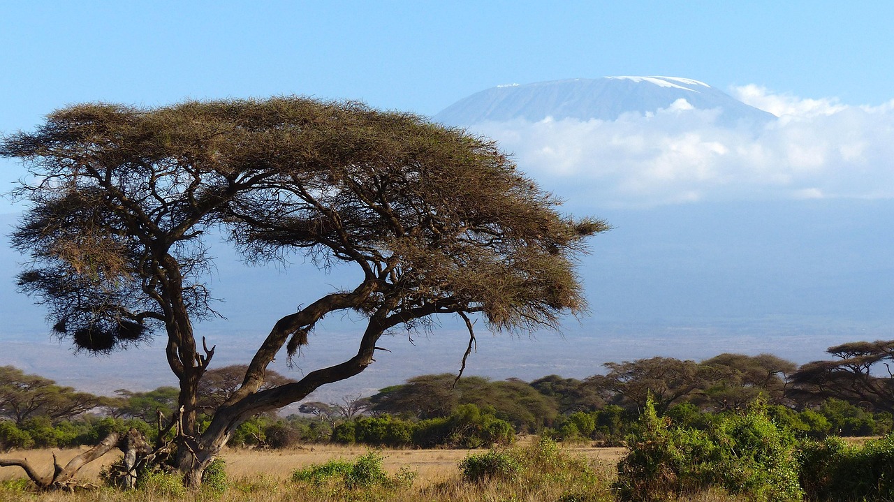 kilimanjaro 720845 1280