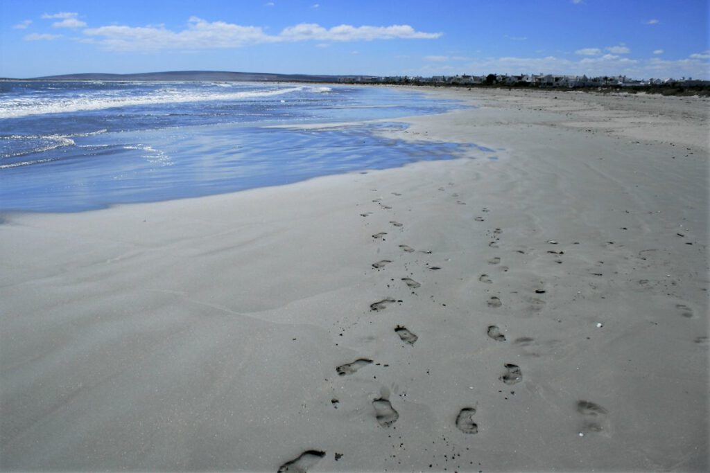 paternoster 2.1180x0