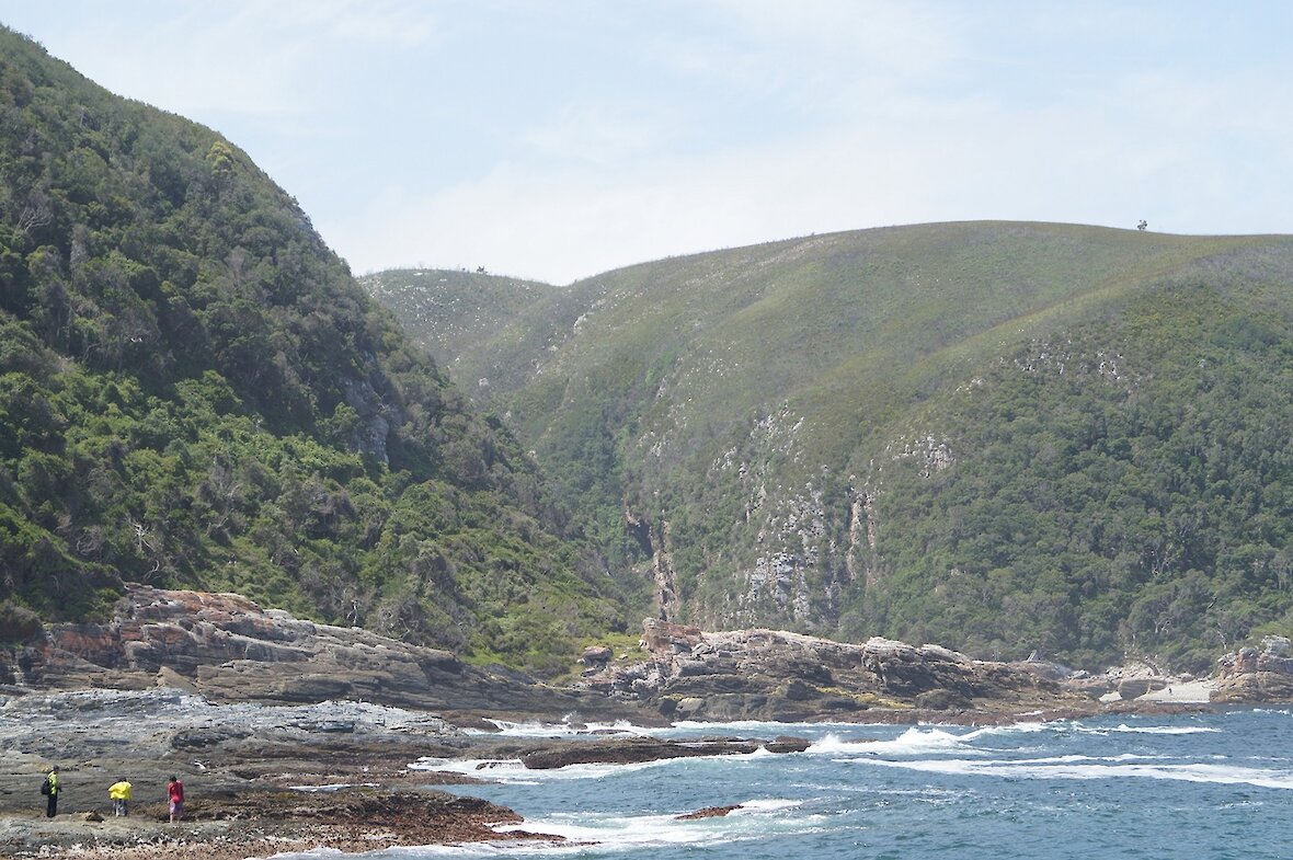 tsitsikamma natiolapark.1180x0